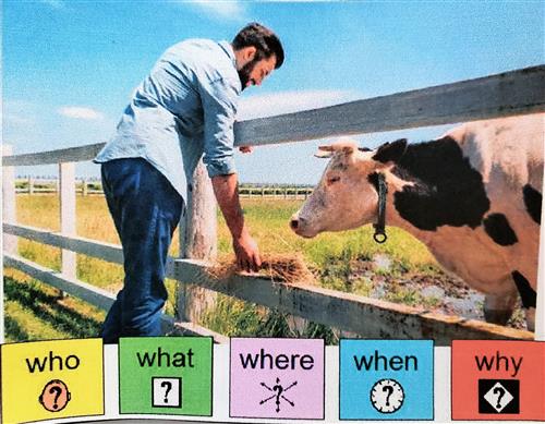 cow 